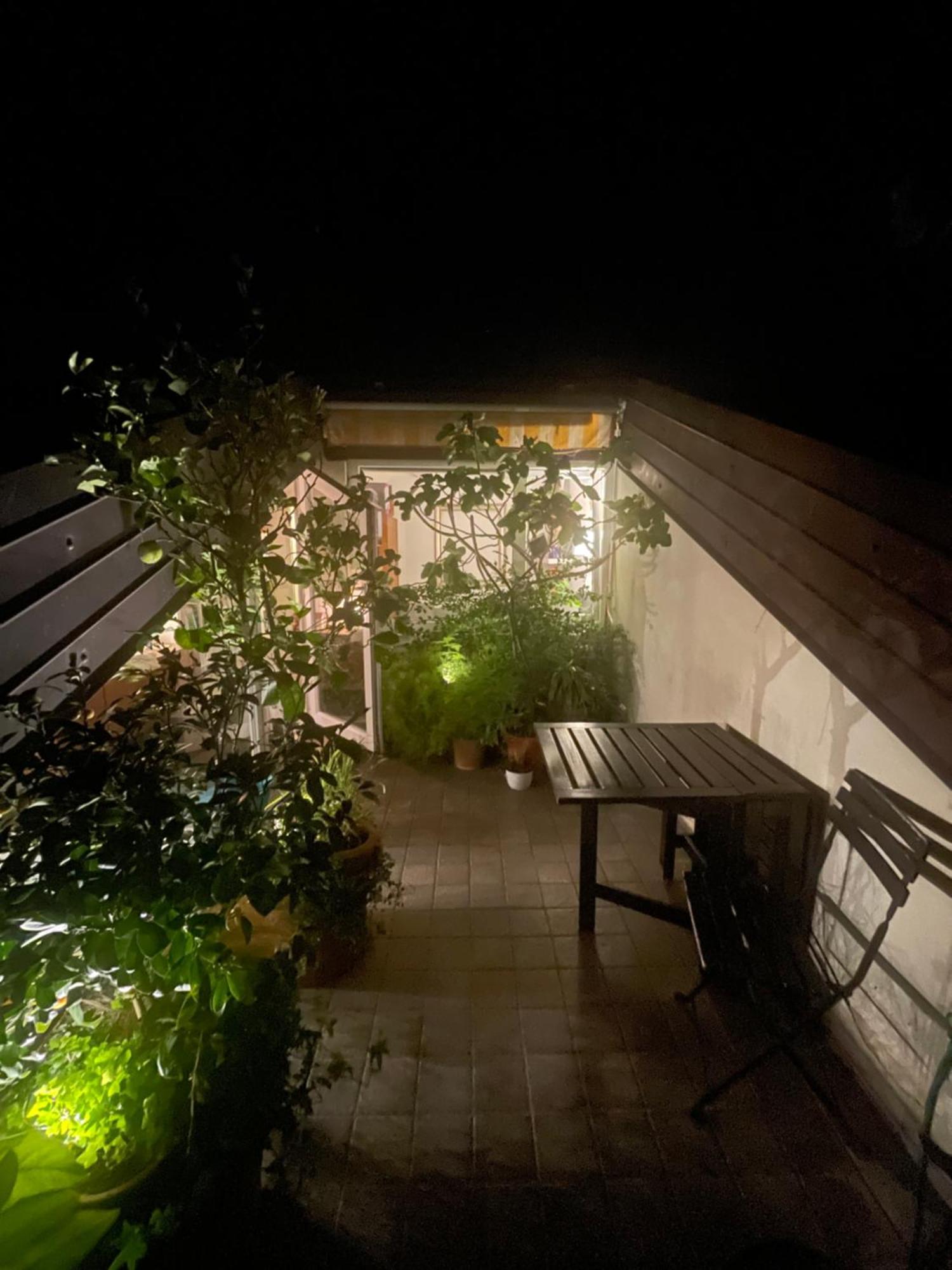 Piccola Accogliente E Luminosa Camera In Appartamento Condiviso Con Terrazza Vista Mare Trieste Exterior photo